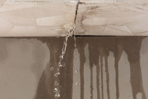Professional Water Damage Repair technician working in Edgewood, TX